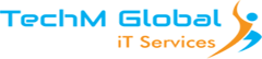 Techm Global iT Services Pvt Ltd